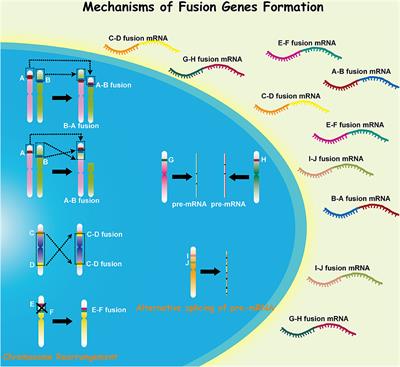 Fusion Genes Altered in Adult Malignant Gliomas